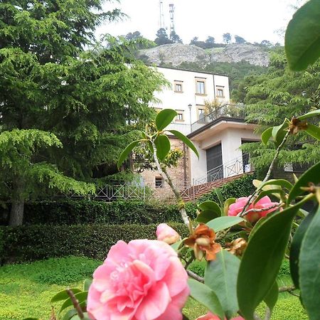 Eremo Hotel Casa Del Sorriso Ериче Екстериор снимка